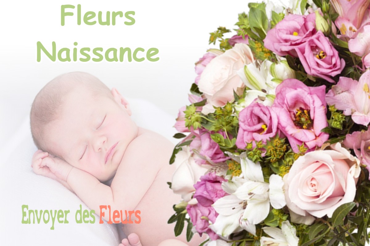 lIVRAISON FLEURS NAISSANCE à SAINT-ANTONIN-SUR-BAYON